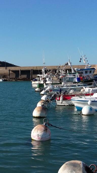Вилла Entre Golfe Et Ocean La Trinite-Surzur Экстерьер фото
